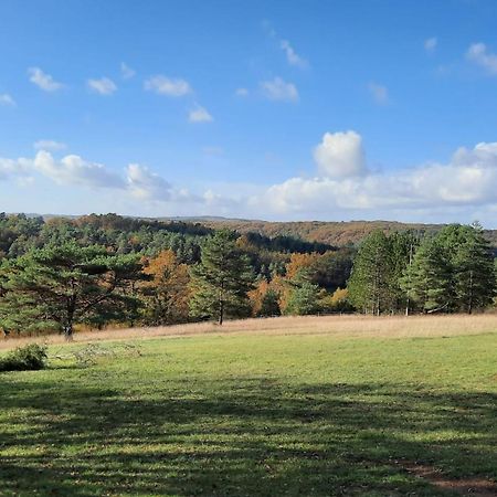 Gite Les Placettes Sainte-Foy-de-Longas Екстериор снимка